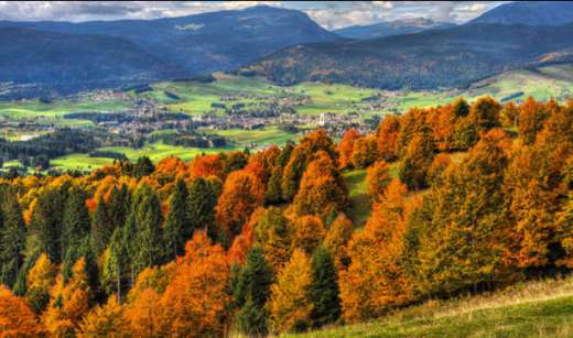 L'ambiente naturale dell'Altopiano di Asiago